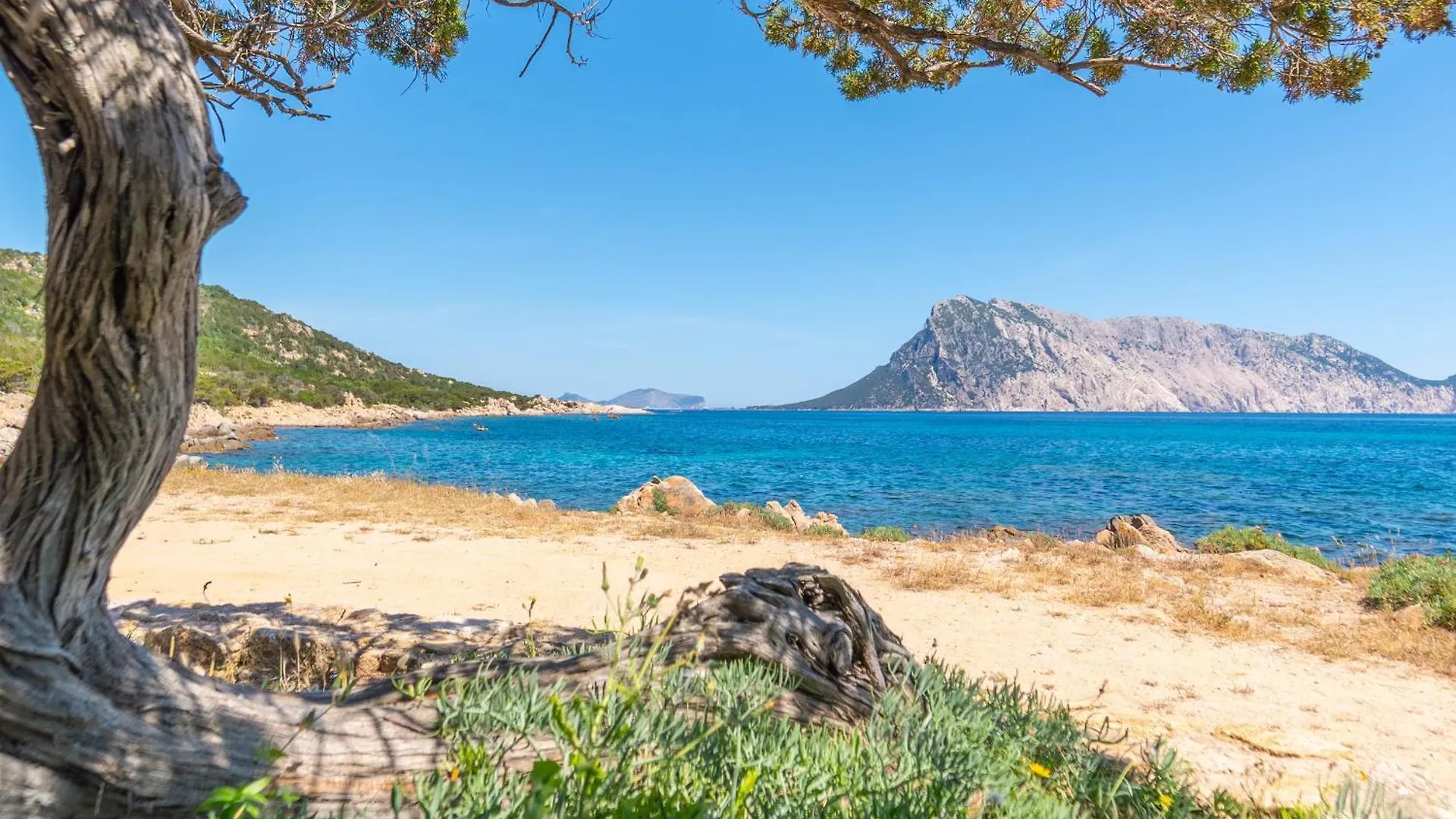 Tatil Evi Marylou By Domusaway Monte Petrosu İtalya